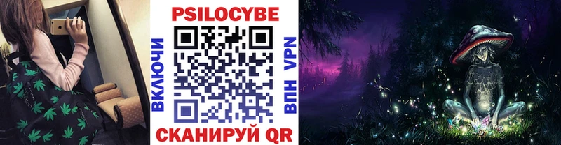 Галлюциногенные грибы Magic Shrooms  мега ONION  Сунжа  где продают  